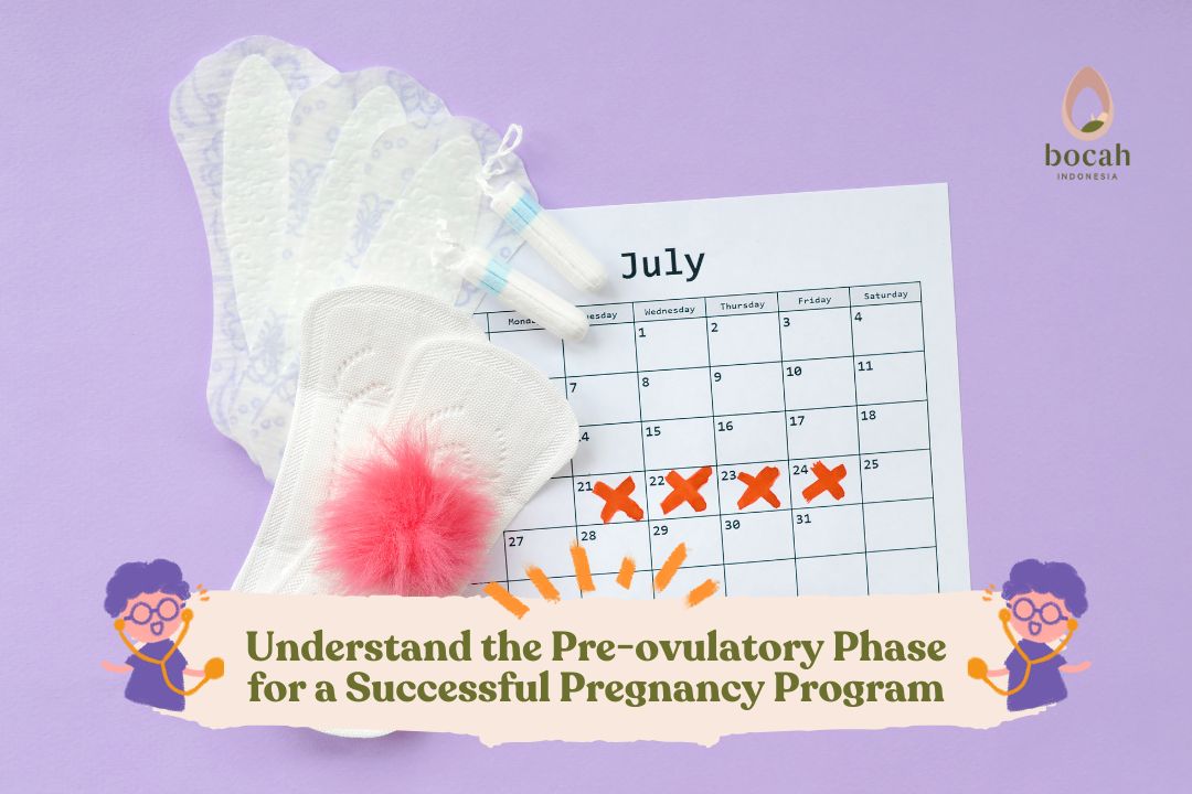 Understand the Pre-ovulatory Phase for a Successful Pregnancy Program