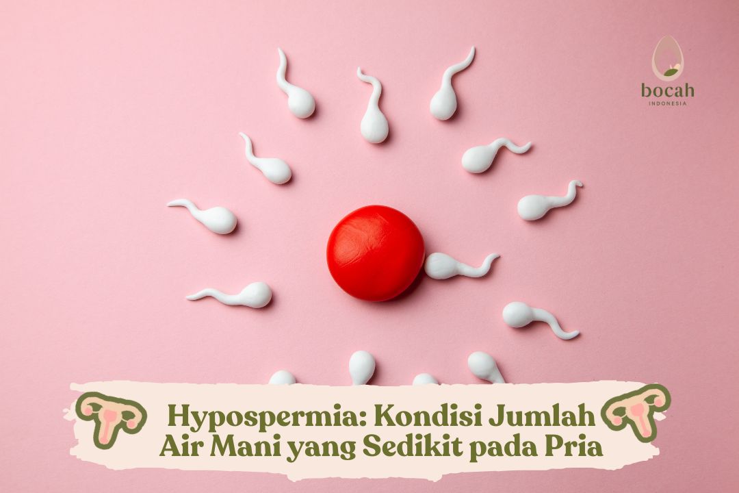 Hypospermia Kondisi Jumlah Air Mani yang Sedikit pada Pria