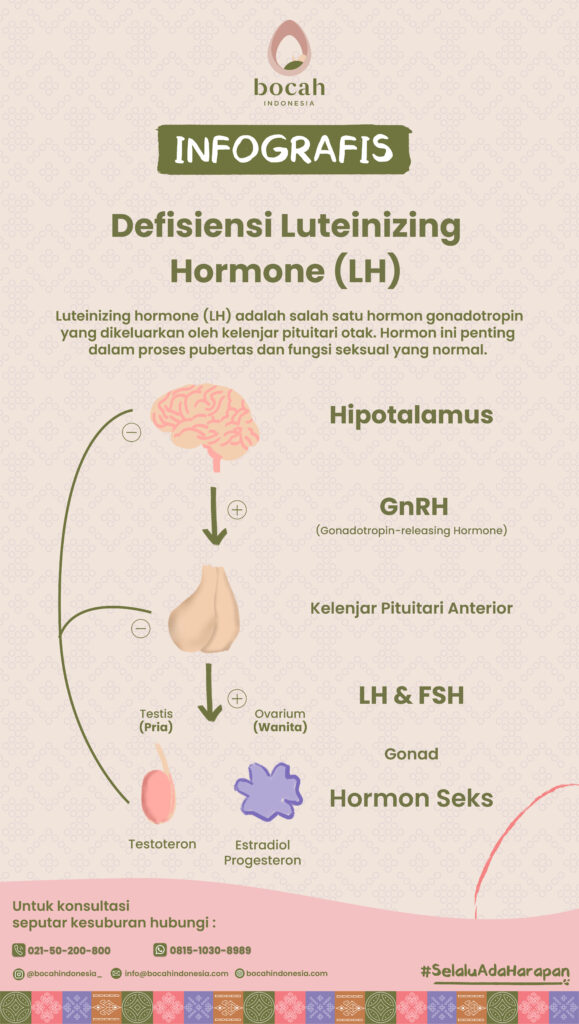 Luteinizing Hormone (LH)