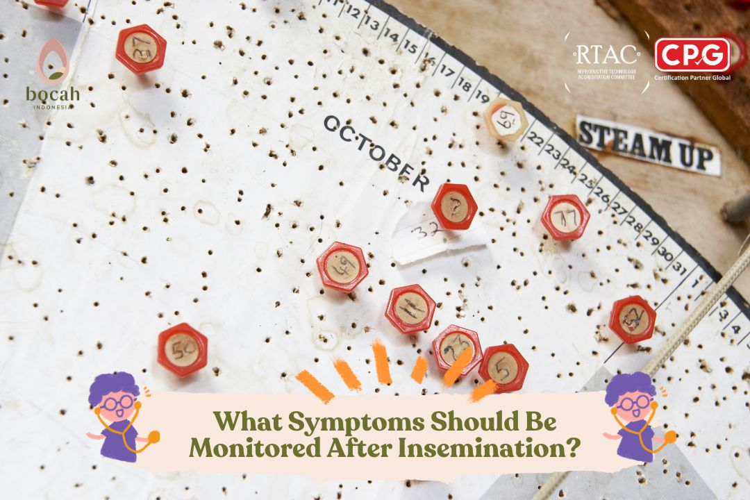 What Symptoms Should Be Monitored After Insemination