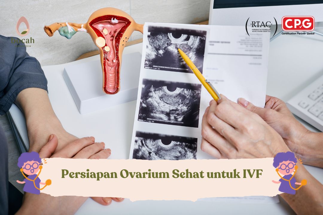 Apa itu Ovarium? dan Peran Ovarium untuk Bayi Tabung (IVF)