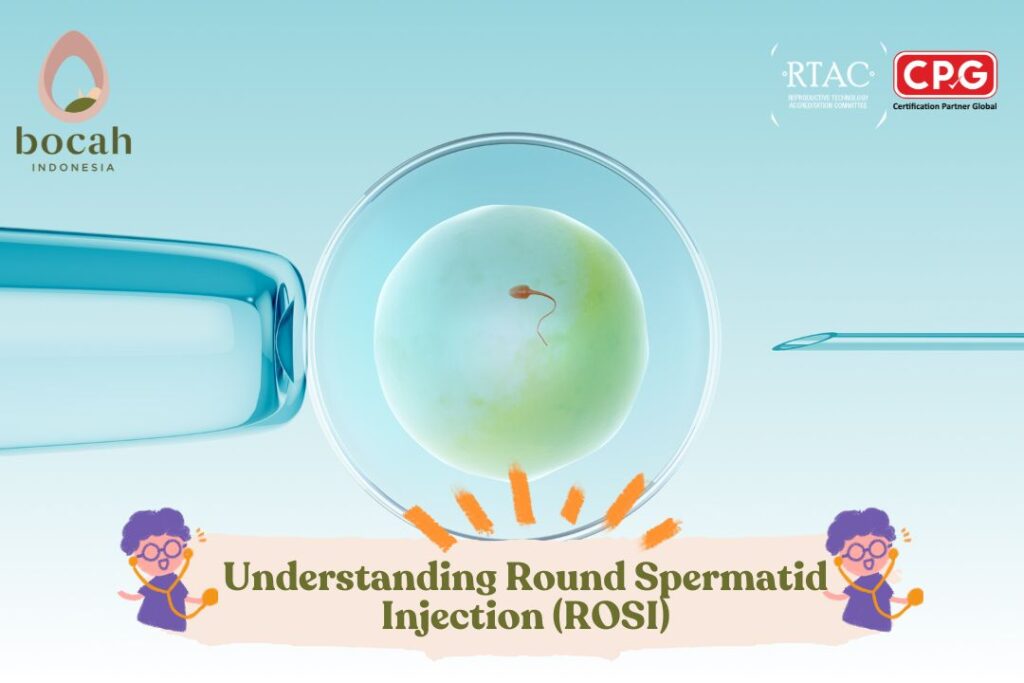 Understanding Round Spermatid Injection (ROSI)