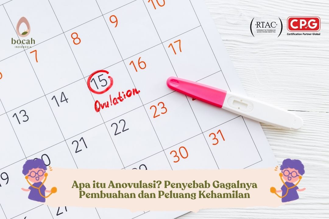 Apa itu Anovulasi, Penyebab Ovum Gagal Dibuahi dan Faktor yang Memengaruhi Peluang Kehamilan