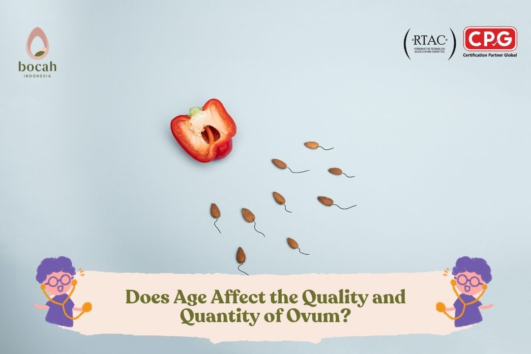 Does Age Affect the Quality and Quantity of Ovum?