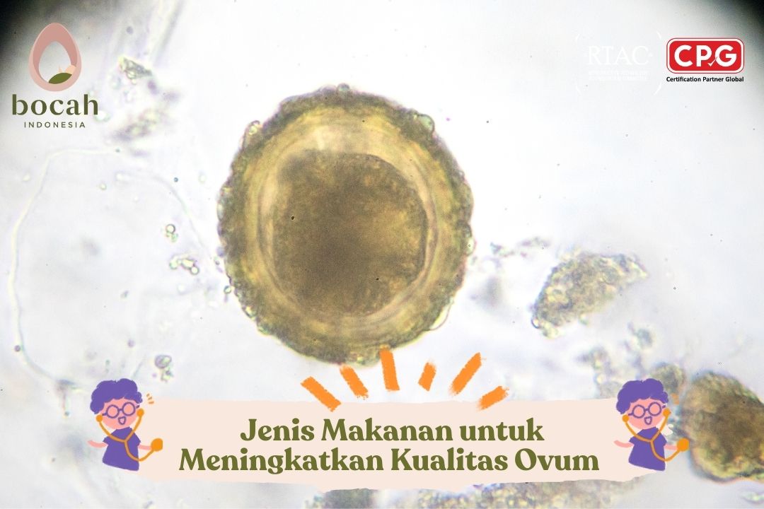 10 Jenis Makanan untuk Meningkatkan Kualitas Ovum