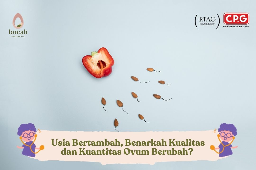Pengaruh Usia pada Kualitas Ovum dan Risiko Kehamilan di Usia Lanjut
