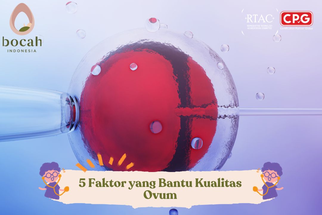 Cara Meningkatkan Kualitas Ovum untuk Keberhasilan Program Bayi Tabung