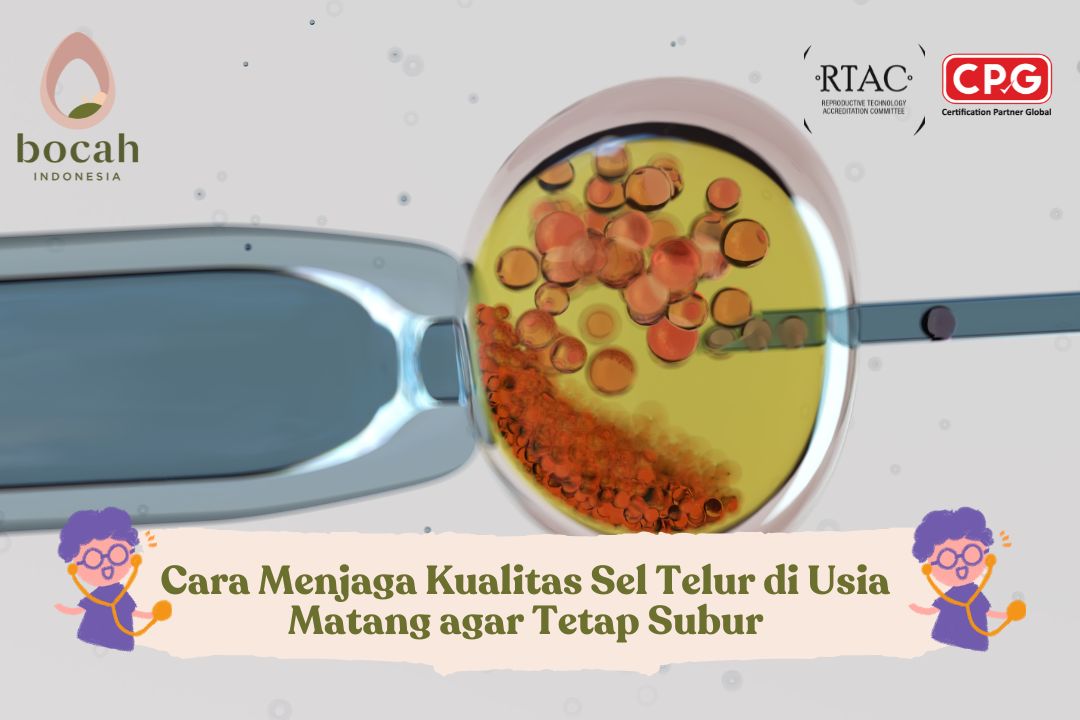 Cara Menjaga Kualitas Sel Telur di Usia Matang agar Tetap Subur