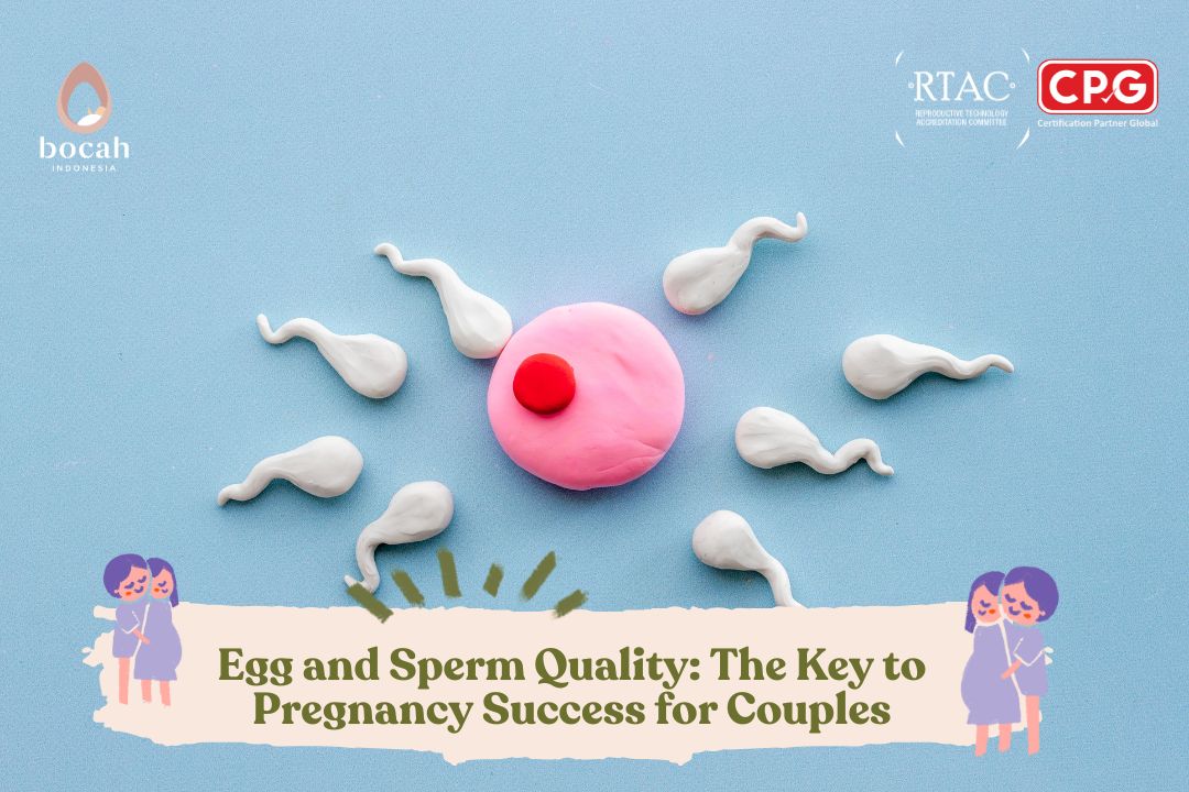 Egg and Sperm Quality: The Key to Pregnancy Success for Couples