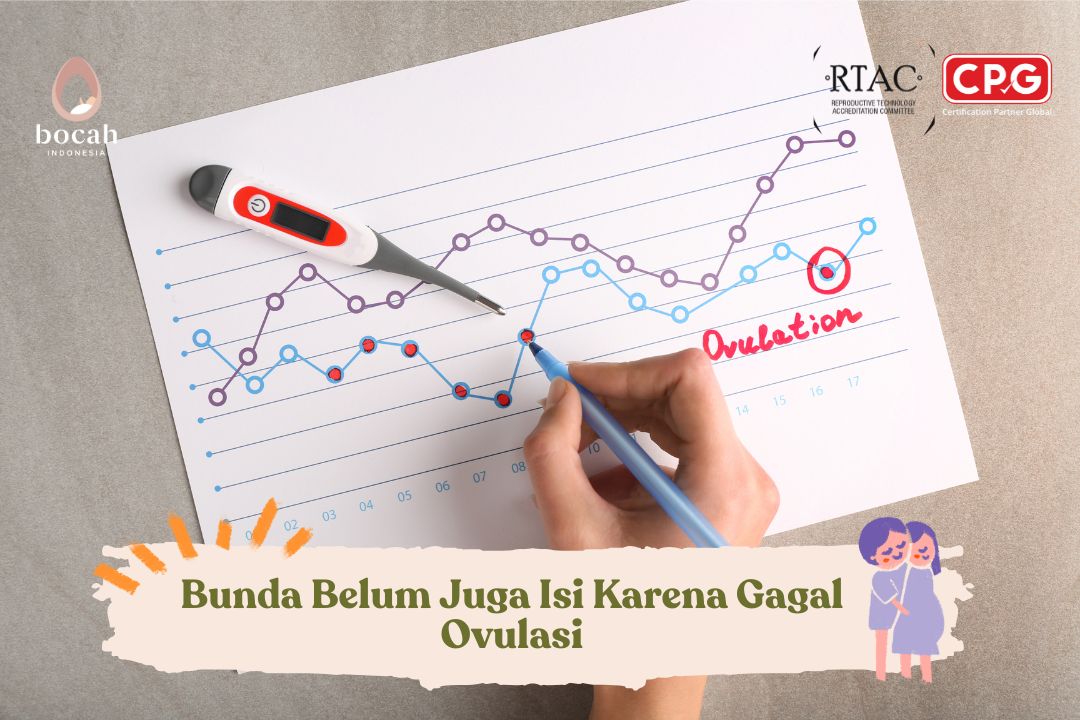 Memahami Anovulasi: Penyebab dan Solusi untuk Infertilitas
