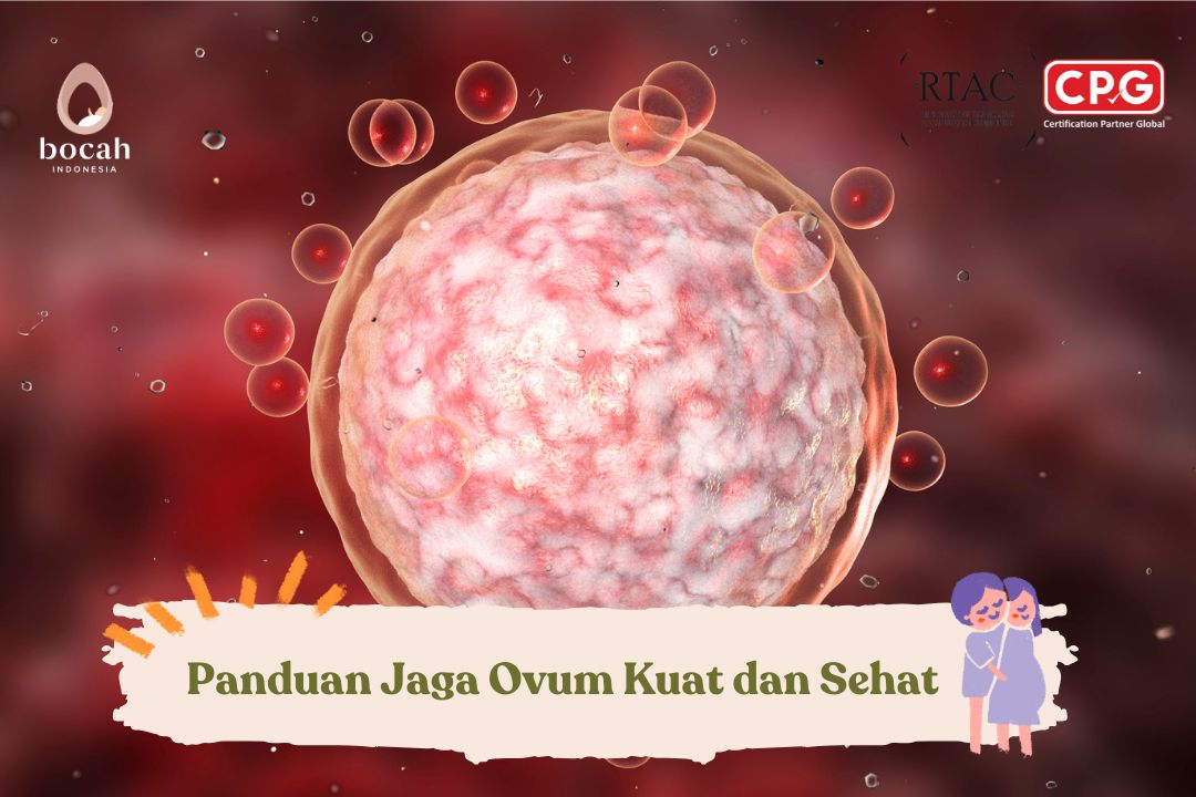 Tips Jaga Kualitas Sel Telur Usia 30 Lebih Agar Cepat Hamil