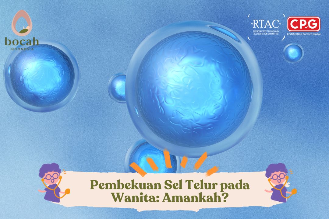 Pembekuan Sel Telur: Pengertian, Proses, dan Keamanannya