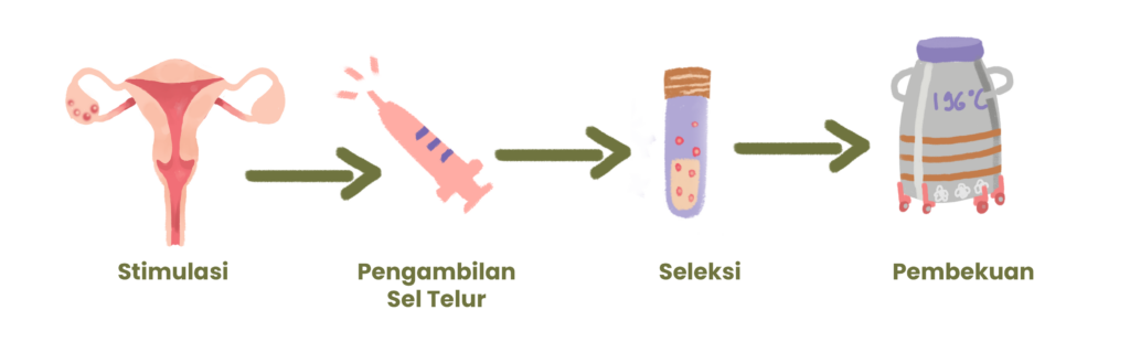 Pembekuan_Sel_telur_Revisi