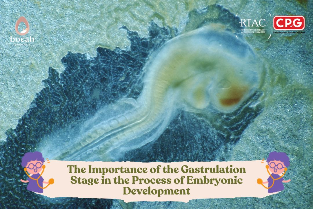 Gastrulation: A Key Process in Early Embryonic Development
