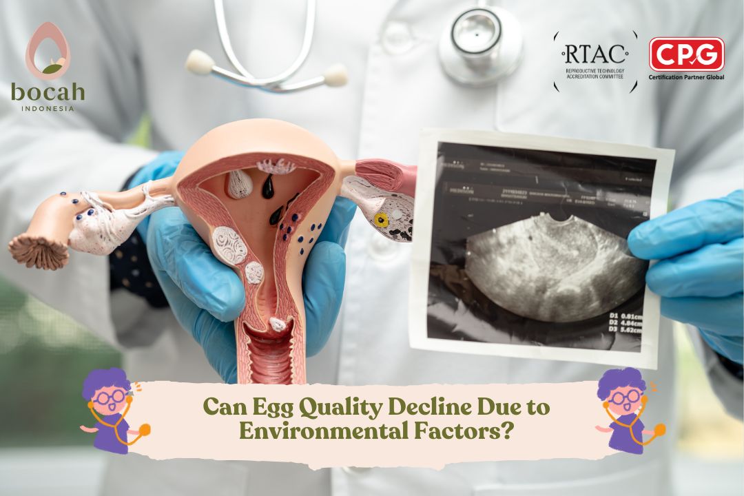 Can Egg Quality Decline Due to Environmental Factors?