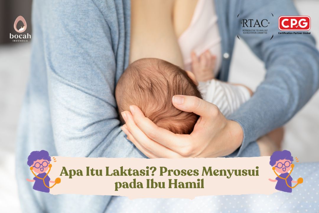 Apa Itu Laktasi? Proses Menyusui pada Ibu Hamil