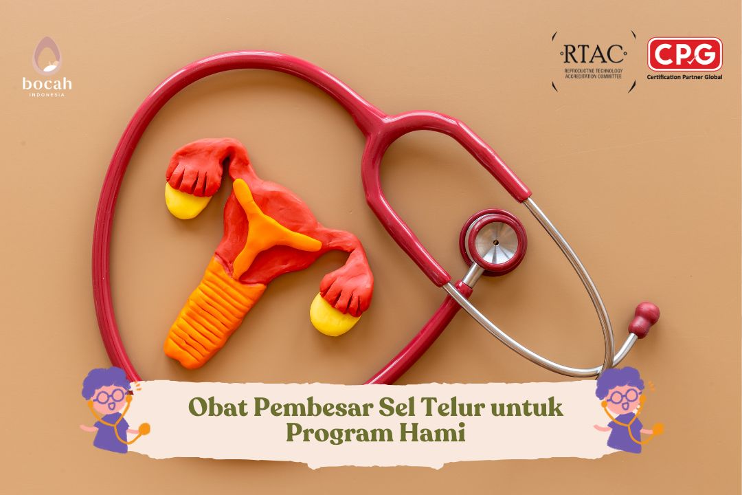 Obat Pembesar Sel Telur untuk Program Hami