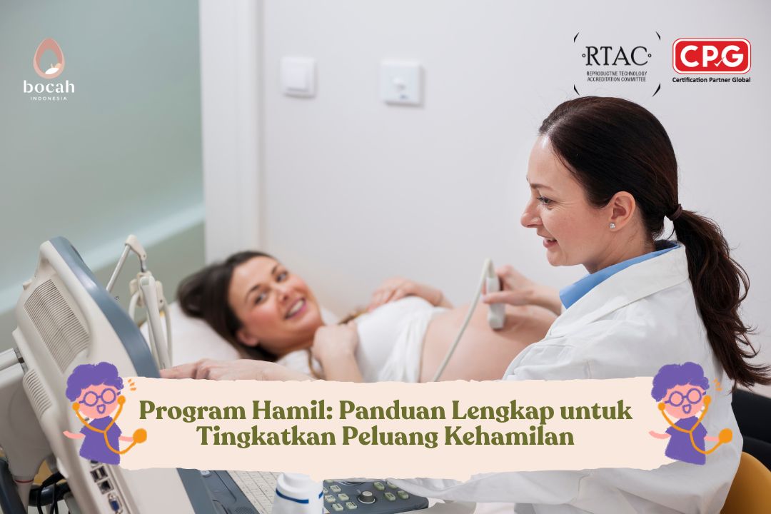Pregnancy Programs: A Planned Path to Increasing the Chances of Conception