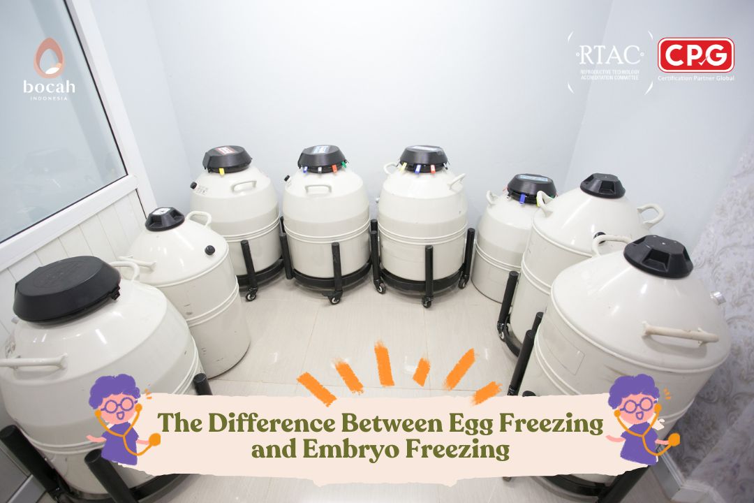 The Difference Between Egg Freezing and Embryo Freezing