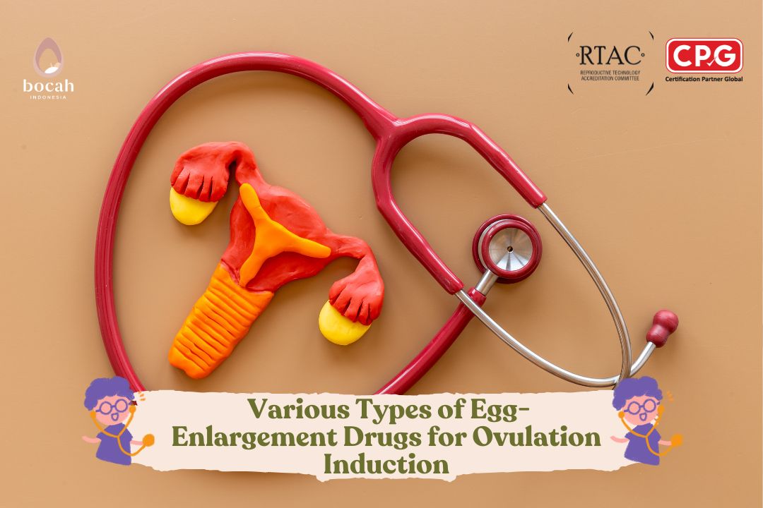 Various Types of Egg-Enlargement Drugs for Ovulation Induction