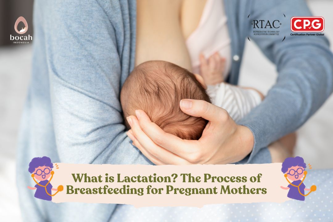What is Lactation? The Process of Breastfeeding for Pregnant Mothers