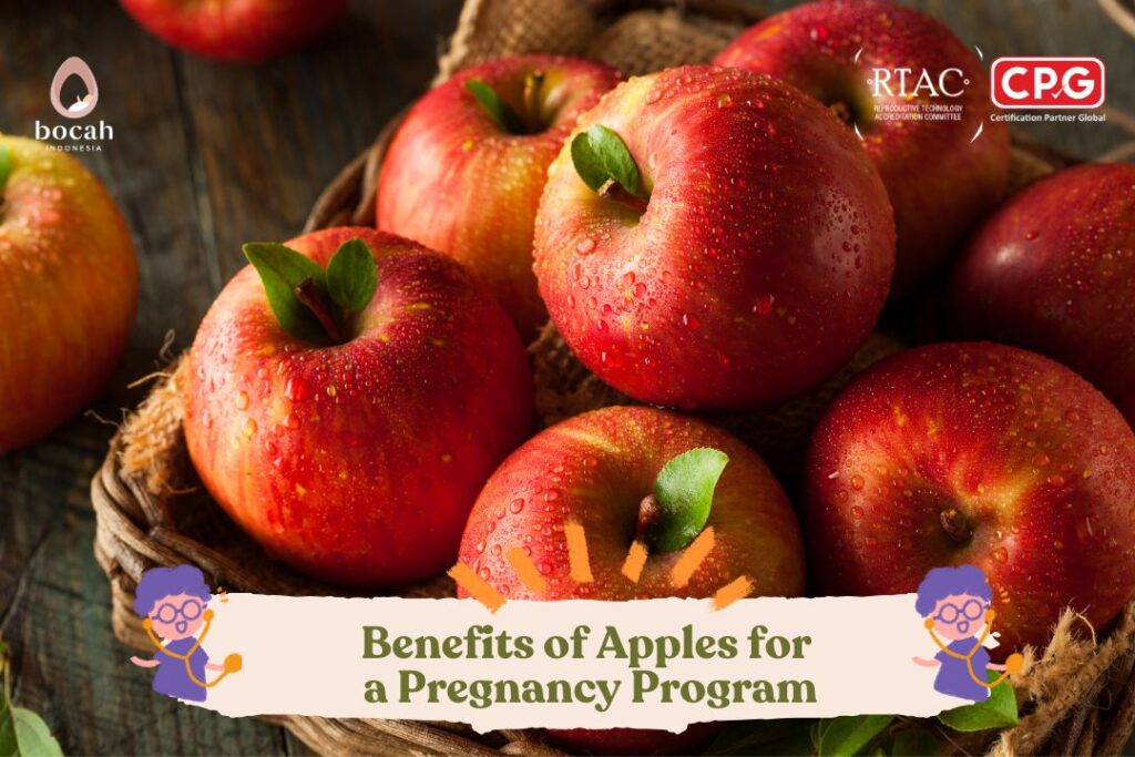 Benefits of Apples for a Pregnancy Program