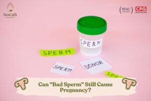 Can Bad Sperm Still Cause Pregnancy
