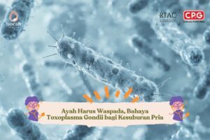 Ayah Harus Waspada, Bahaya Toxoplasma Gondii bagi Kesuburan Pria