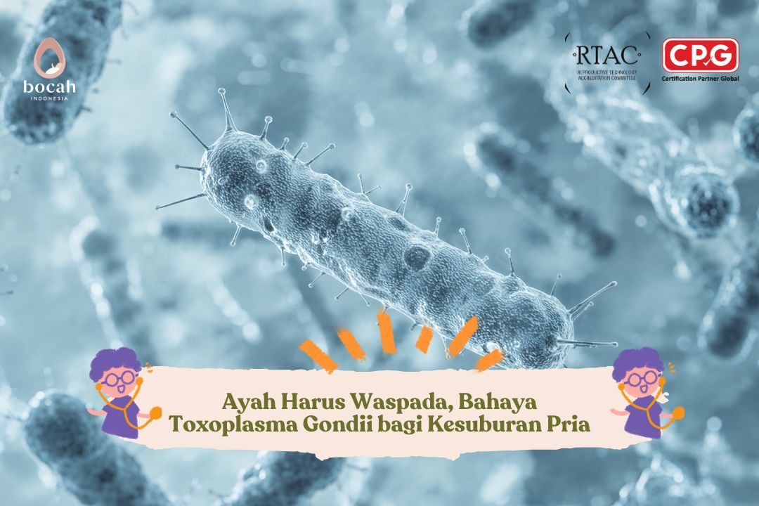Ayah Harus Waspada, Bahaya Toxoplasma Gondii bagi Kesuburan Pria