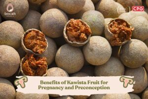 Benefits of Kawista Fruit for Pregnancy and Preconception