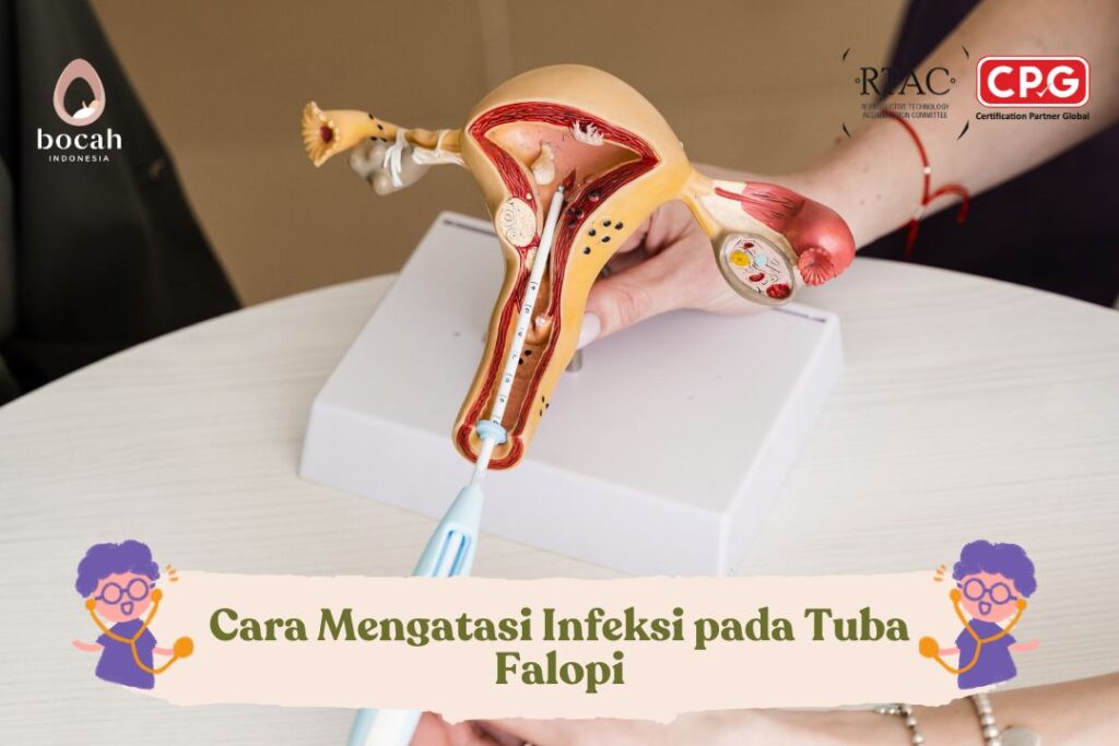 Cara Mengatasi Infeksi pada Tuba Falopi