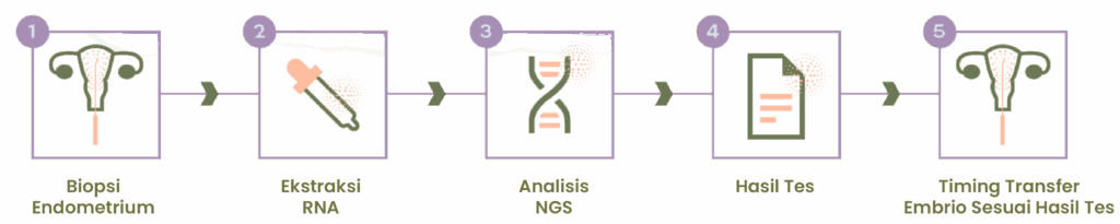 Endometrial Receptivity Array