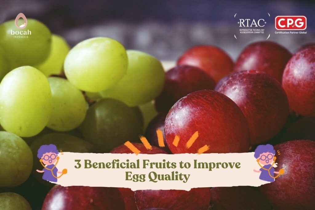 3 Beneficial Fruits to Improve Egg Quality