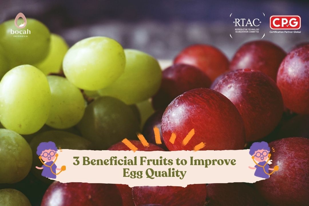 3 Beneficial Fruits to Improve Egg Quality