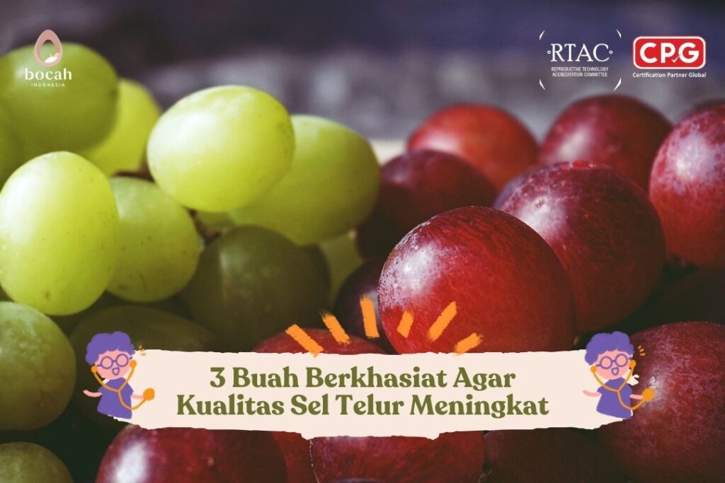 3 Buah Berkhasiat Agar Kualitas Sel Telur Meningkat