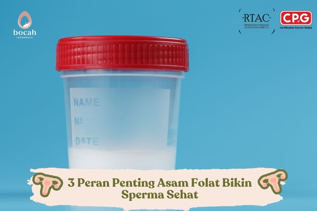 3 Peran Penting Asam Folat Bikin Sperma Sehat