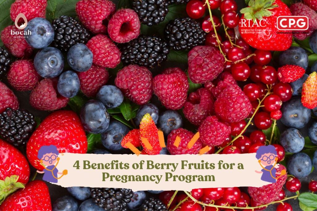 4 Benefits of Berry Fruits for a Pregnancy Program