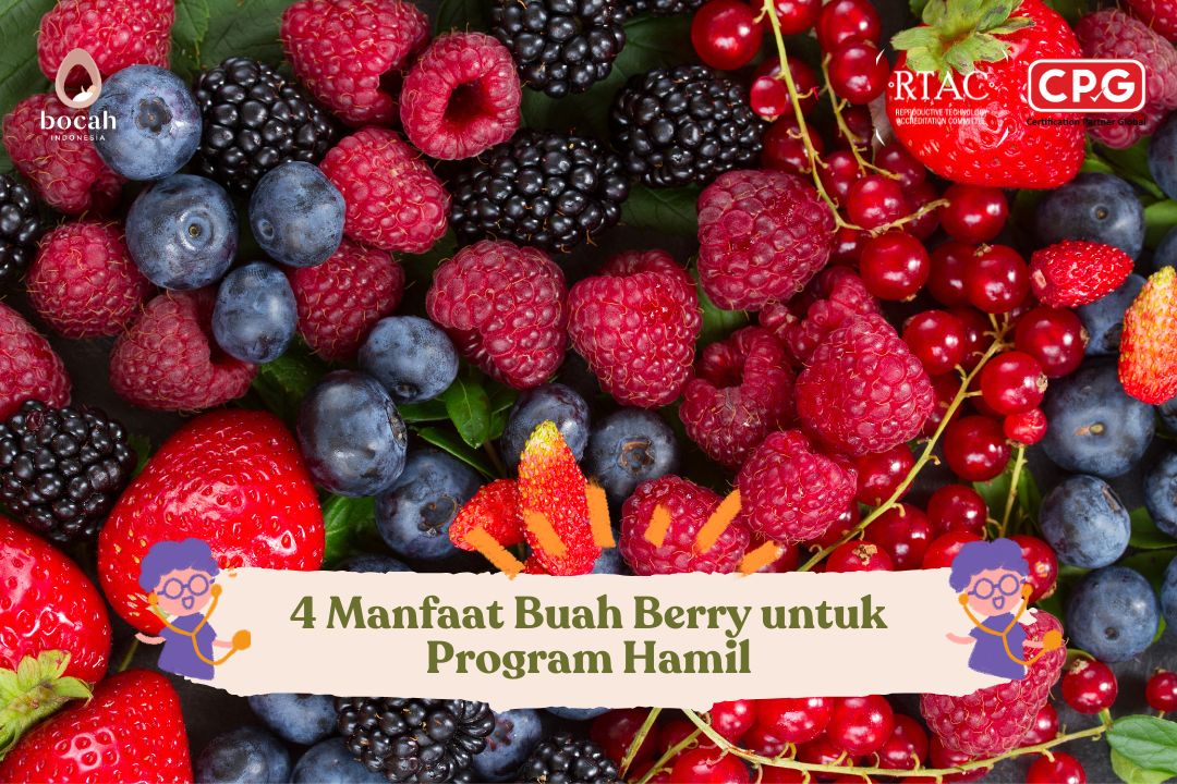 4 Manfaat Buah Berry untuk Program Hamil