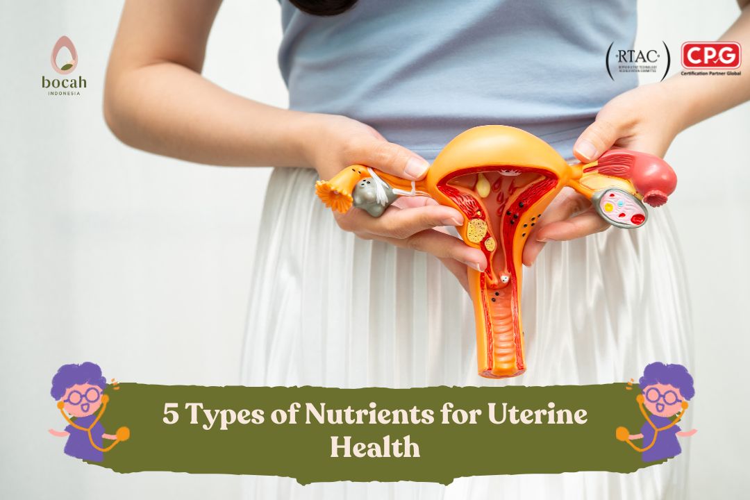 5 Types of Nutrients for Uterine Health 5 Types of Nutrients for Uterine Health