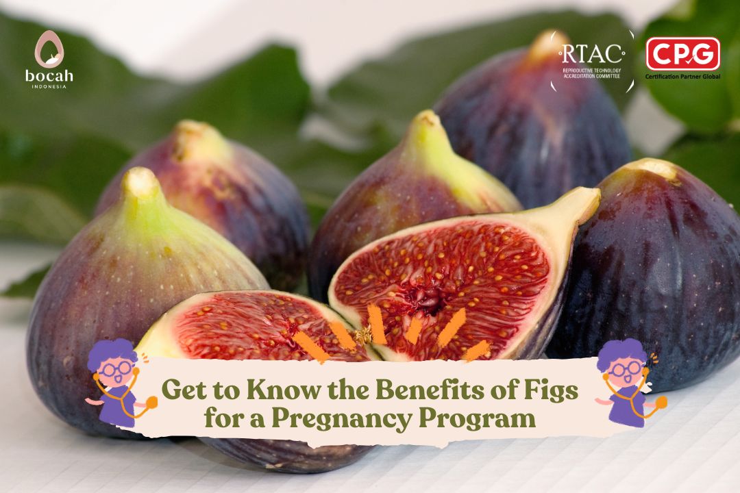 Get to Know the Benefits of Figs for a Pregnancy Program