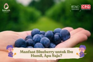 Manfaat Blueberry untuk Ibu Hamil, Apa Saja