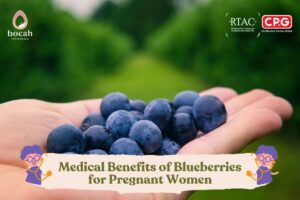 Medical Benefits of Blueberries for Pregnant Women