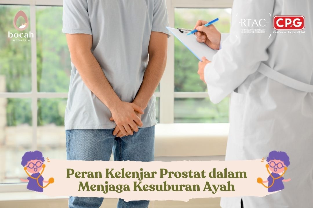 Peran Kelenjar Prostat dalam Menjaga Kesuburan Ayah