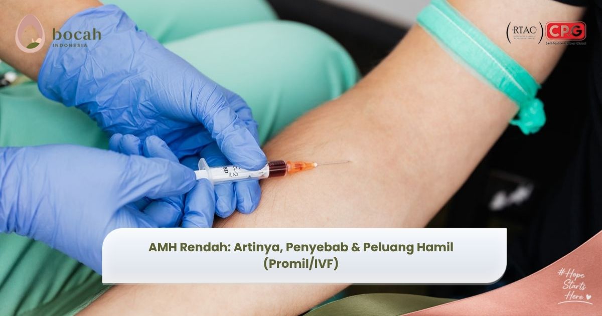 apa itu amh